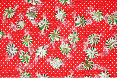 无悔少年枉只愿壮志狂！《战国异闻录》有血有肉的英雄们